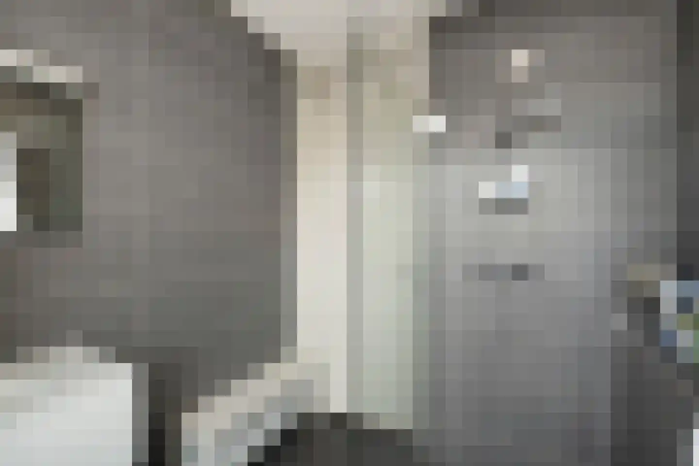 Saffier 66 Anna Paulowna thumbnail 21