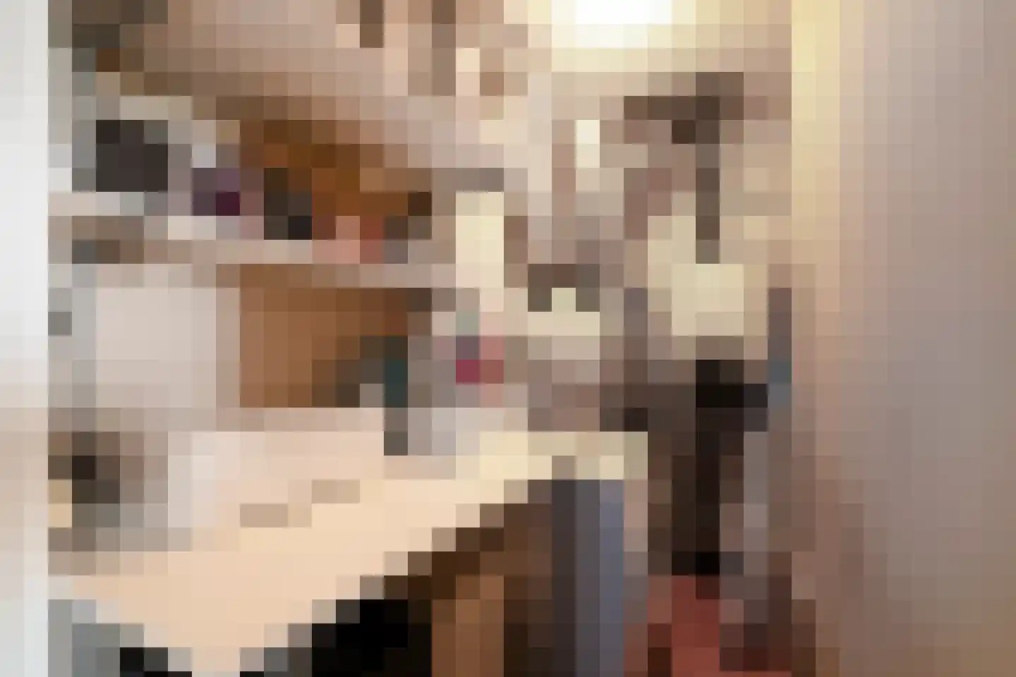 Saffier 66 Anna Paulowna thumbnail 22