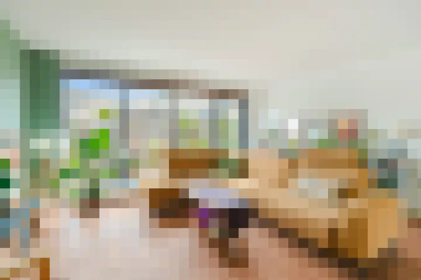 Saffier 66 Anna Paulowna thumbnail 9