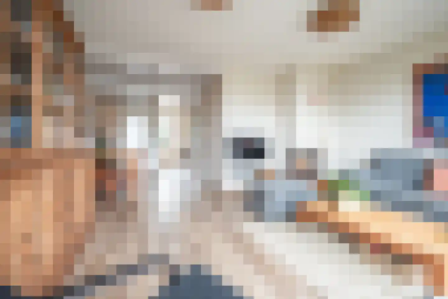 Saffier 69 Berkel en Rodenrijs thumbnail 15