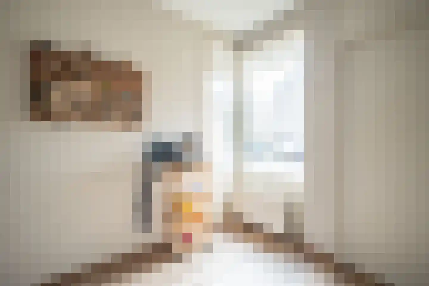 Saffier 69 Berkel en Rodenrijs thumbnail 19