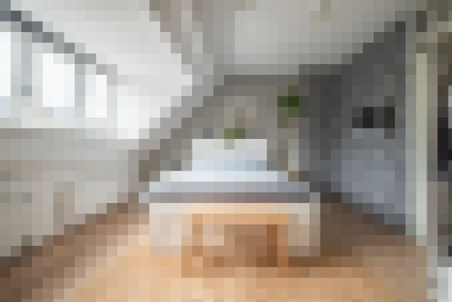 Saffier 69 Berkel en Rodenrijs thumbnail 22