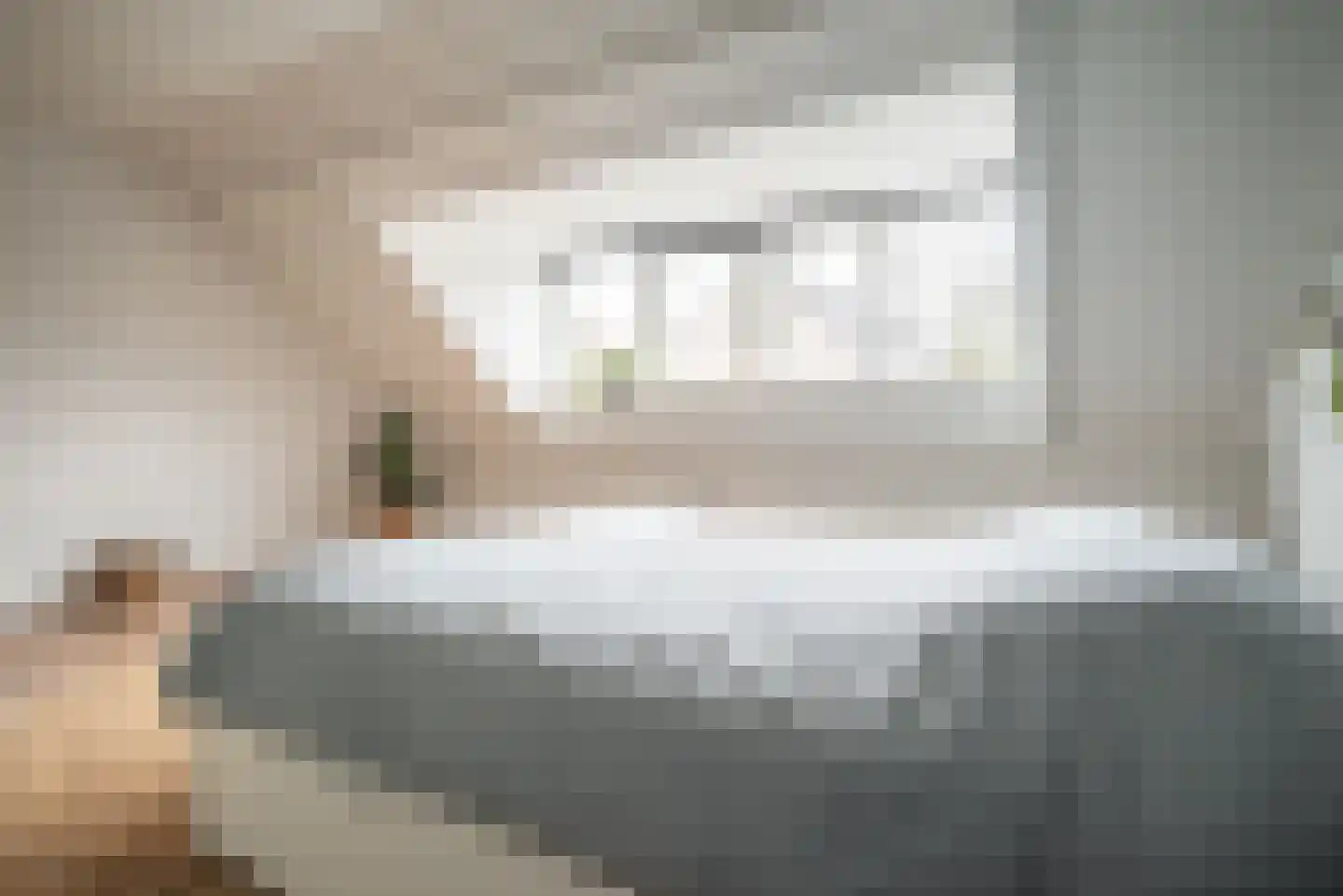 Saffier 69 Berkel en Rodenrijs thumbnail 23