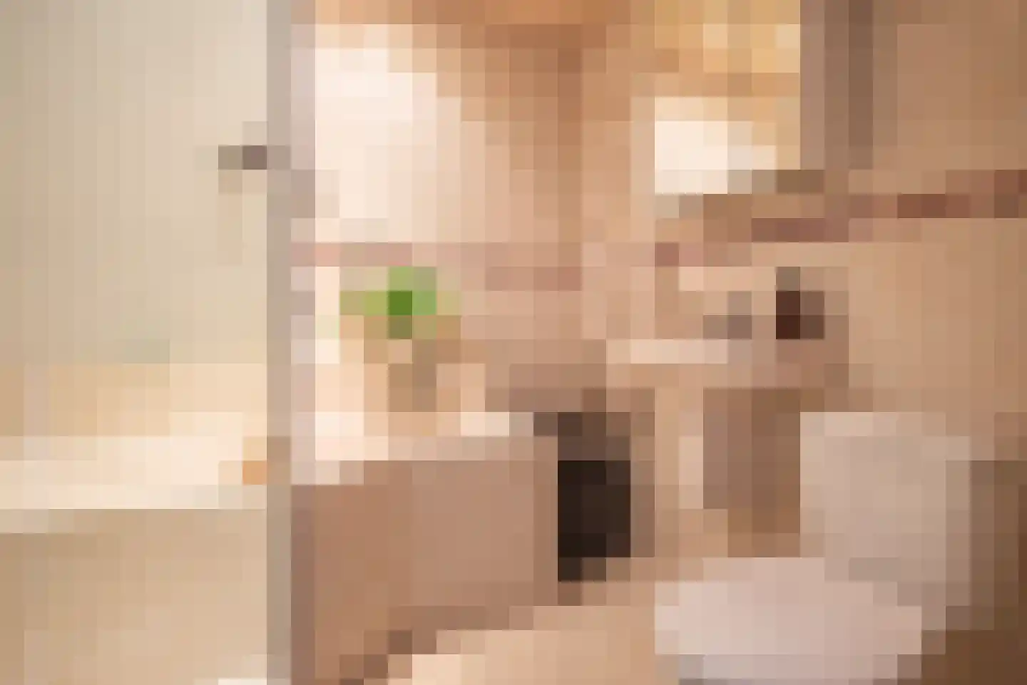 Saffier 69 Berkel en Rodenrijs thumbnail 24