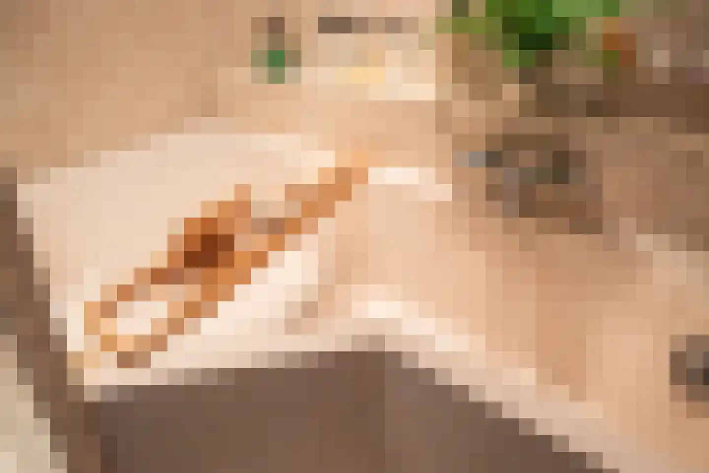 Saffier 69 Berkel en Rodenrijs thumbnail 26