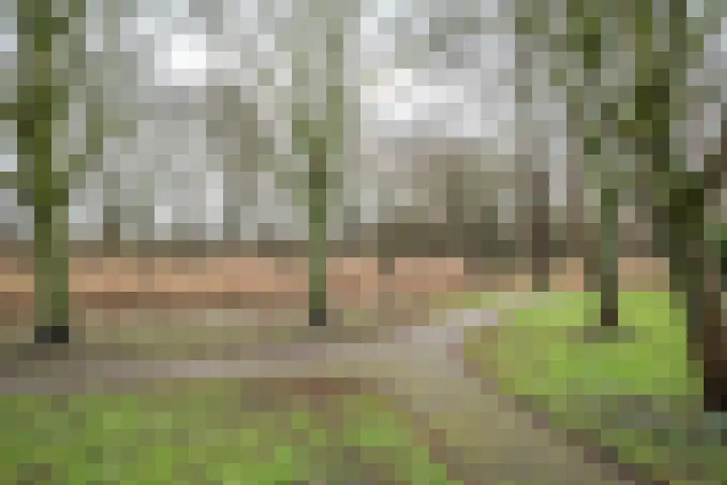 Saffier 69 Berkel en Rodenrijs thumbnail 38