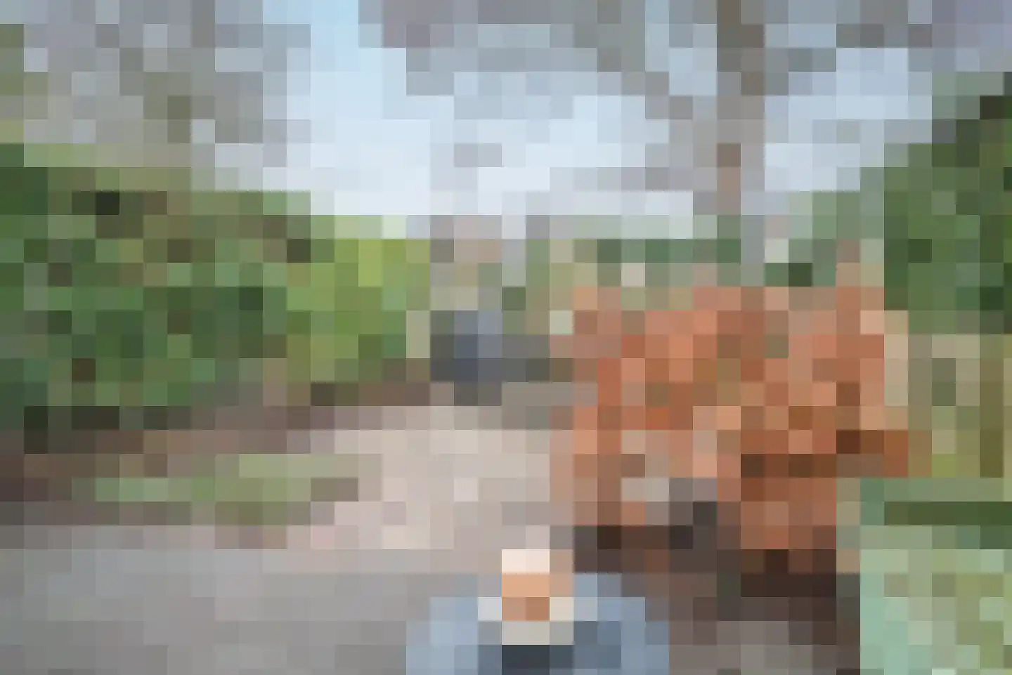 Saffier 69 Berkel en Rodenrijs thumbnail 4