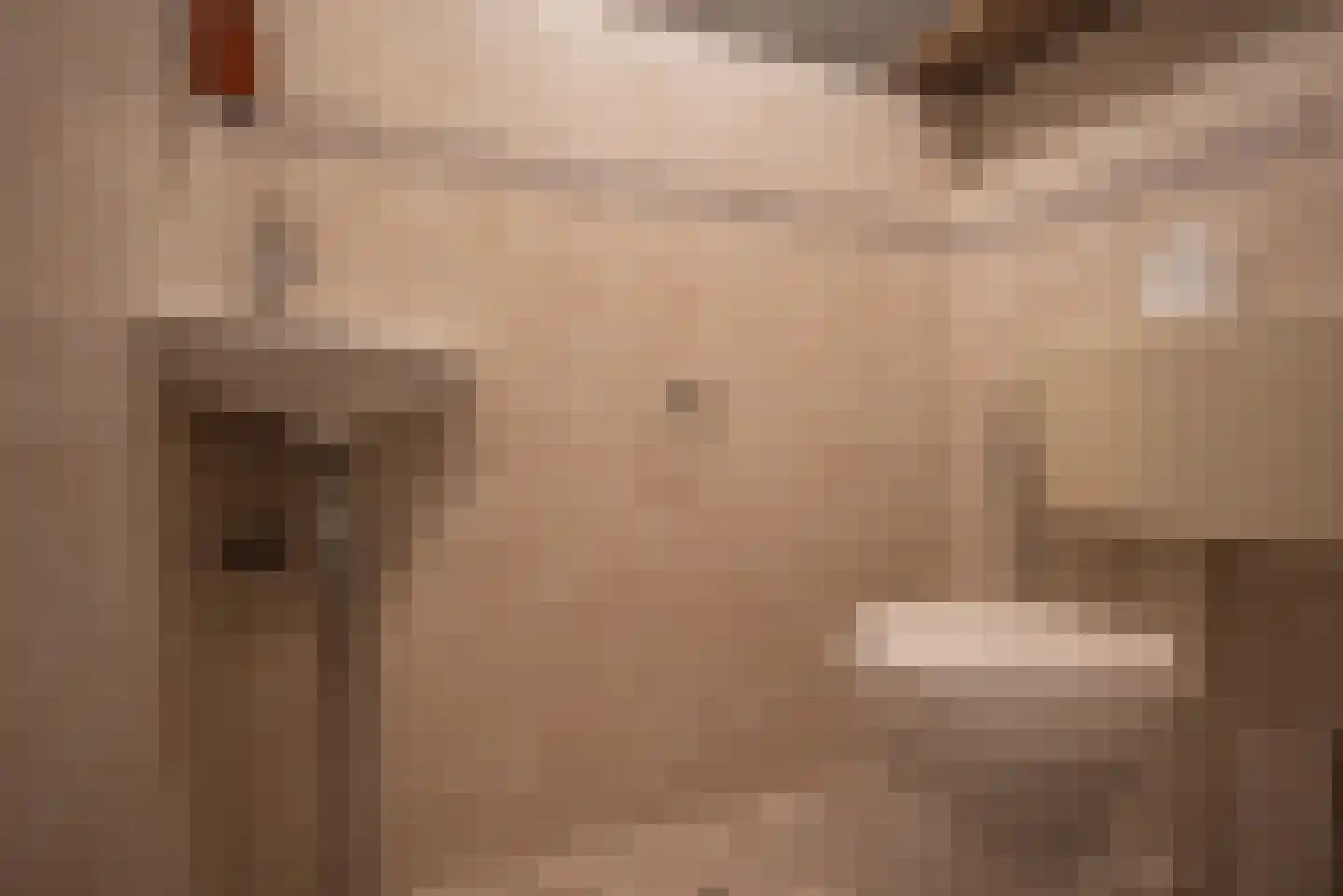 Saffier 69 Berkel en Rodenrijs thumbnail 8