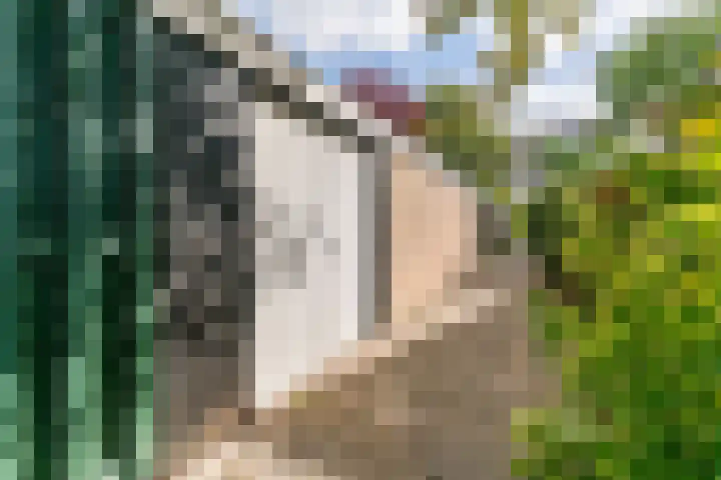 Saffier 7 Heerhugowaard thumbnail 36