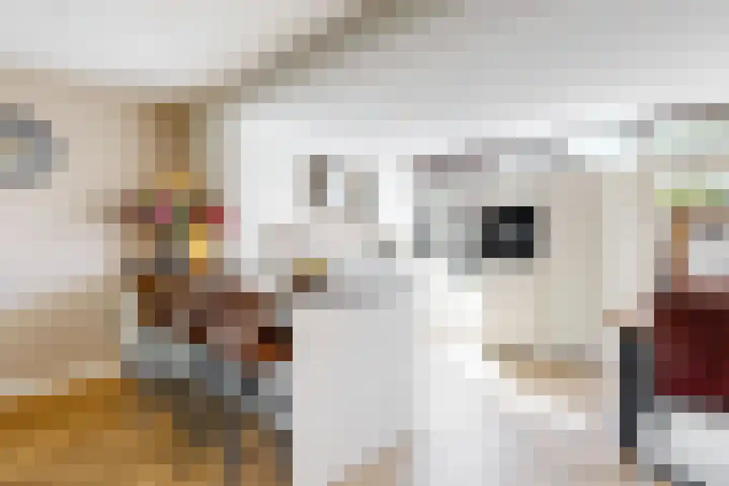 Saffier 7 Heerhugowaard thumbnail 4