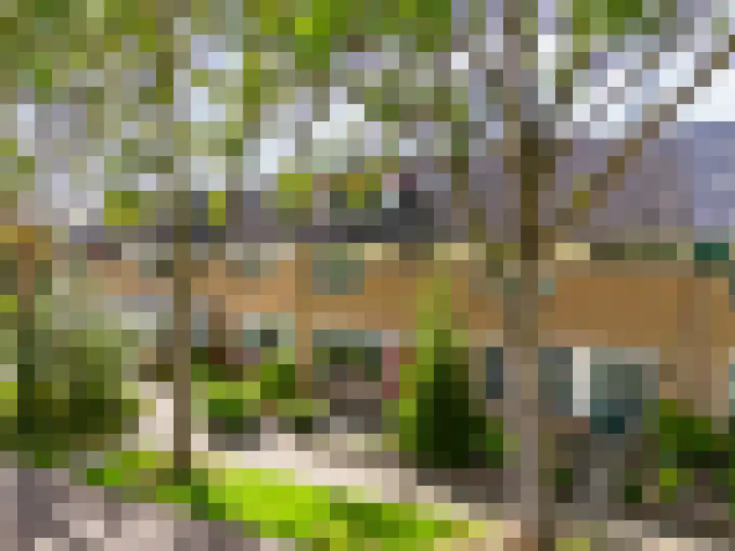 Saffier 7 Heerhugowaard thumbnail 40