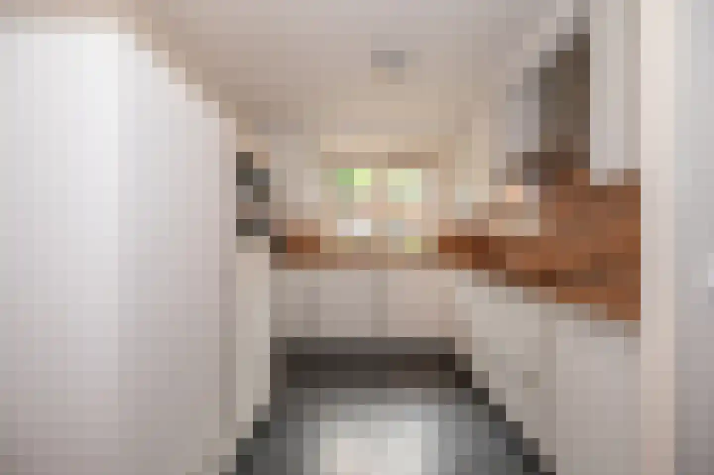 Saffier 7 Zoetermeer thumbnail 11