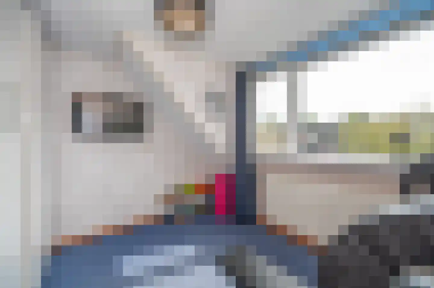 Saffier 7 Zoetermeer thumbnail 34