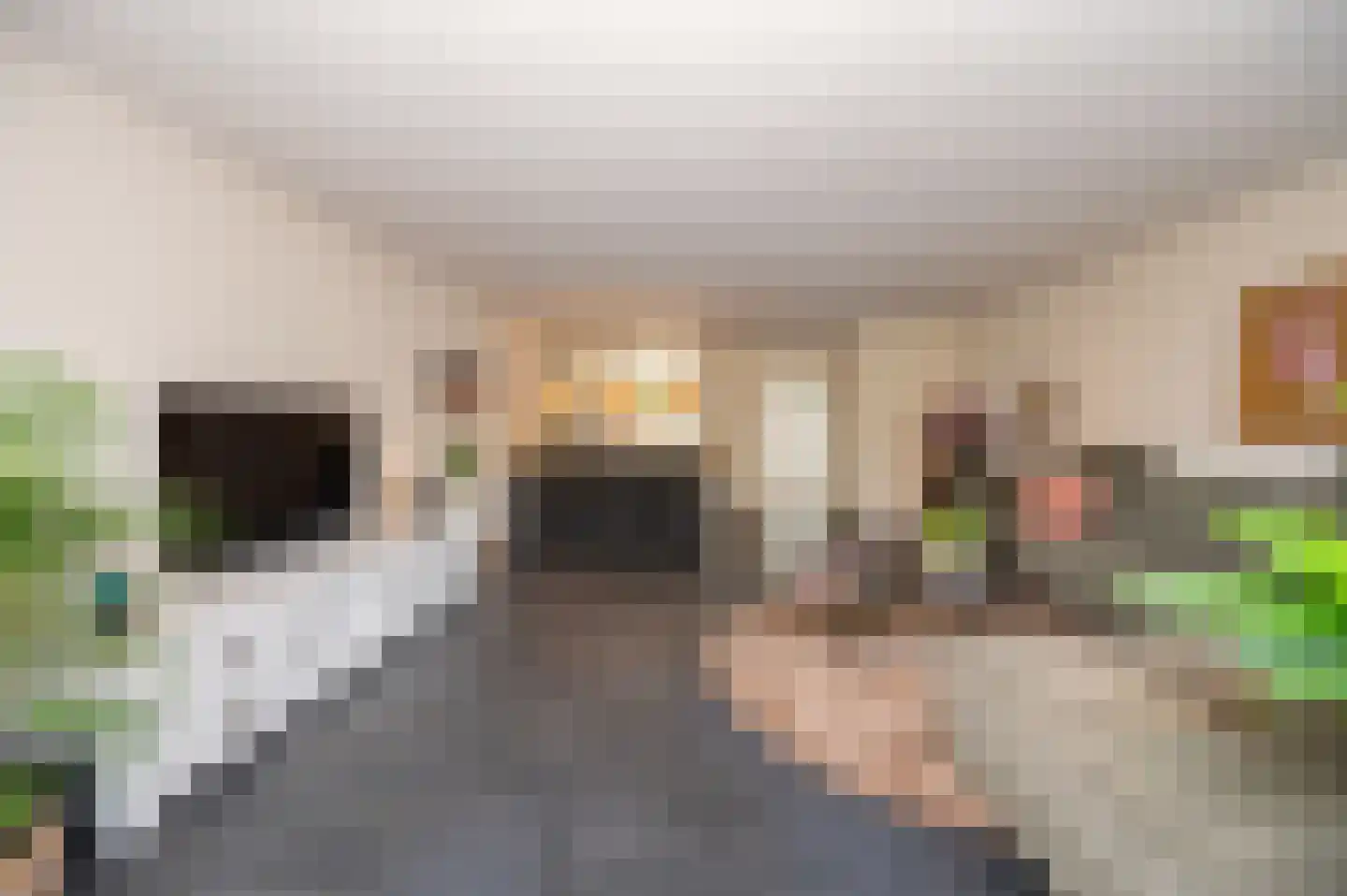 Saffier 7 Zoetermeer thumbnail 6