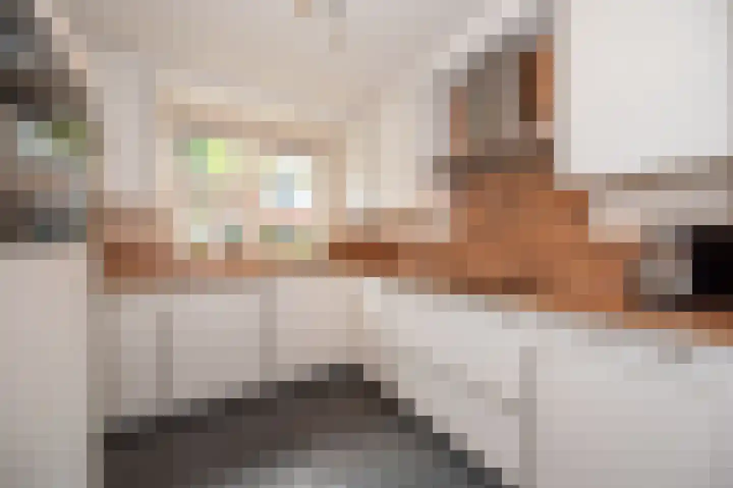 Saffier 7 Zoetermeer thumbnail 8