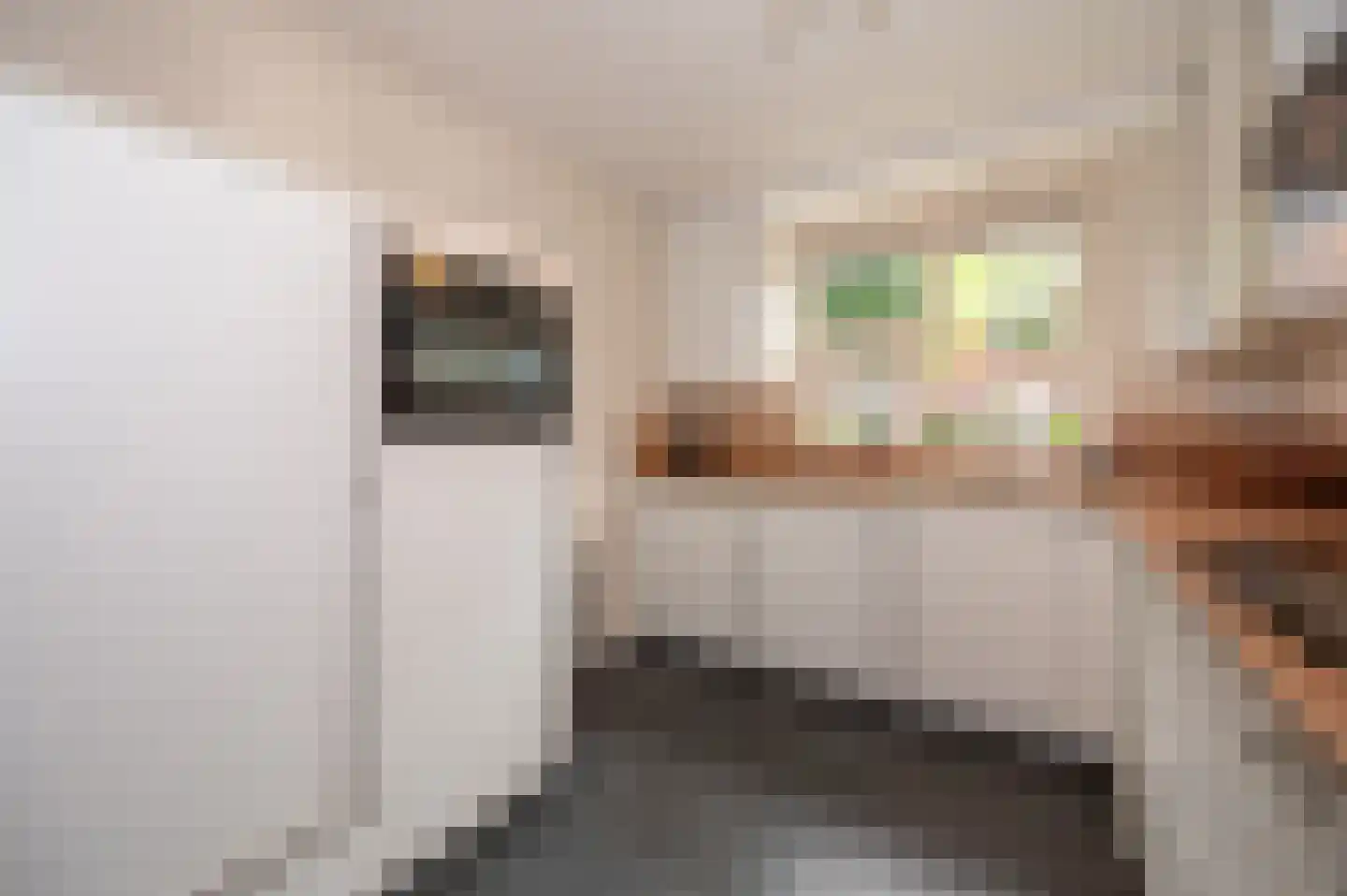 Saffier 7 Zoetermeer thumbnail 9