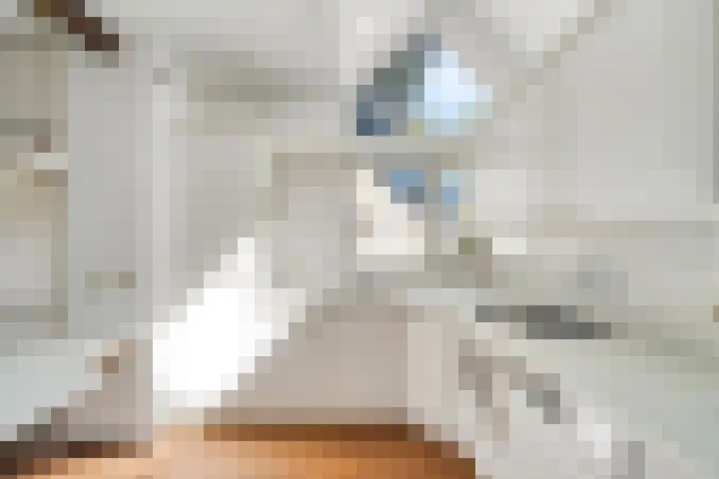 Saffier 9 Berkel en Rodenrijs thumbnail 18