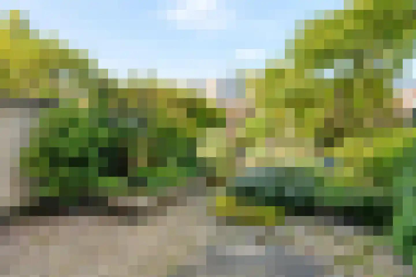 Saffier 9 Berkel en Rodenrijs thumbnail 25