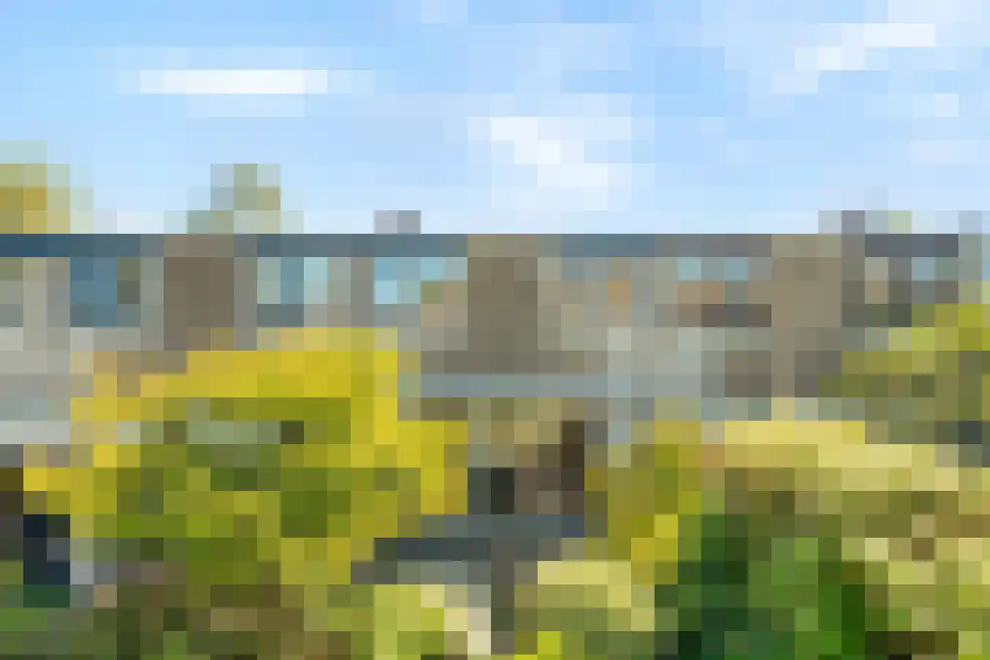 Saffier 9 Berkel en Rodenrijs thumbnail 30