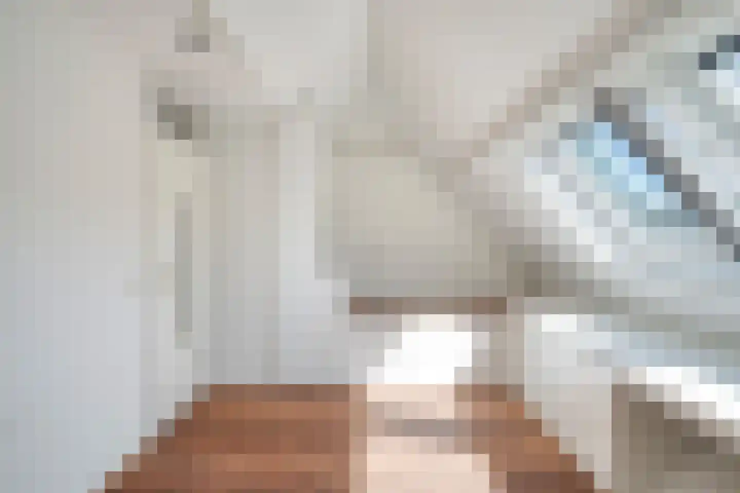 Saffier 9 Berkel en Rodenrijs thumbnail 43