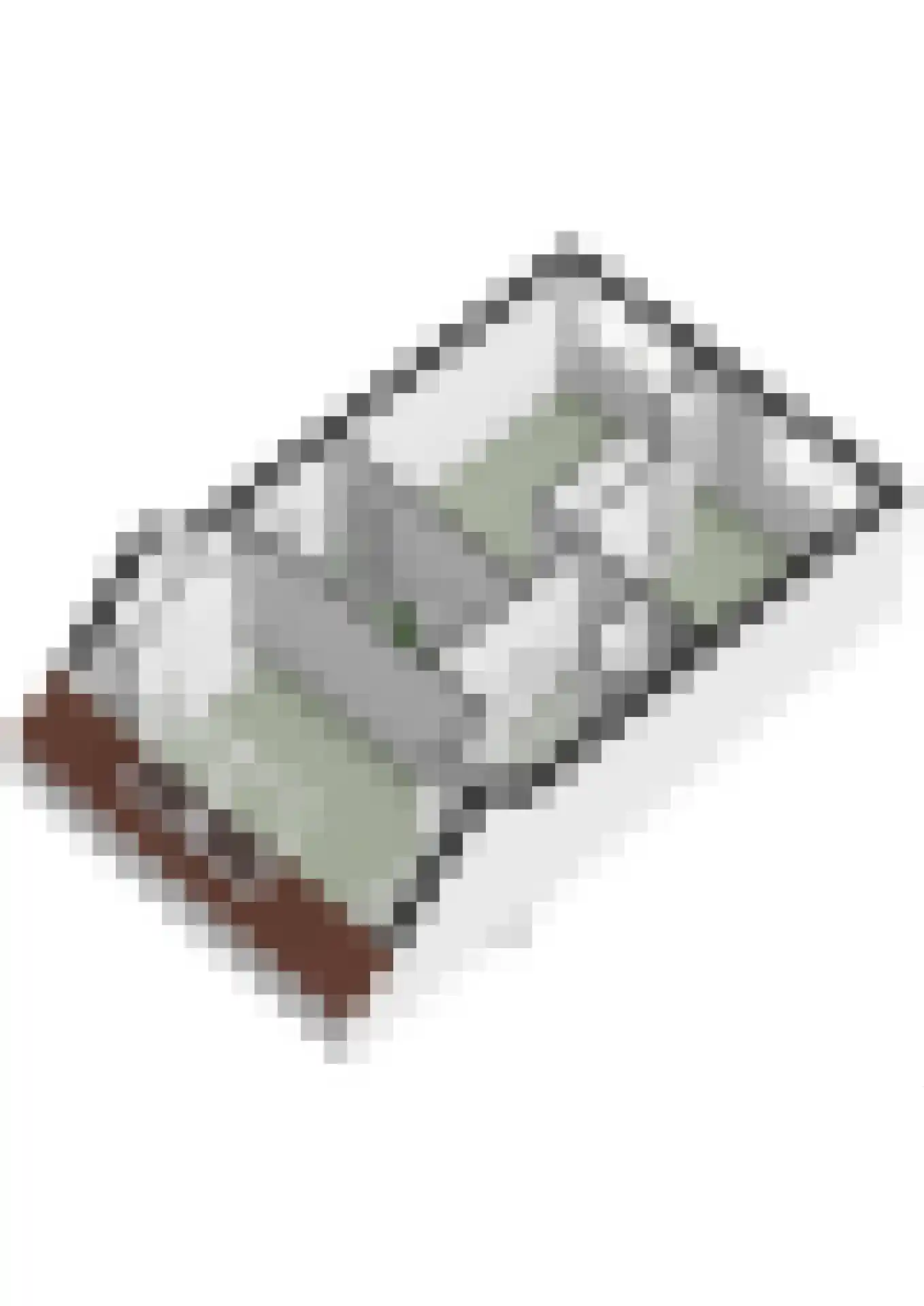 Saffier 9 Berkel en Rodenrijs thumbnail 53