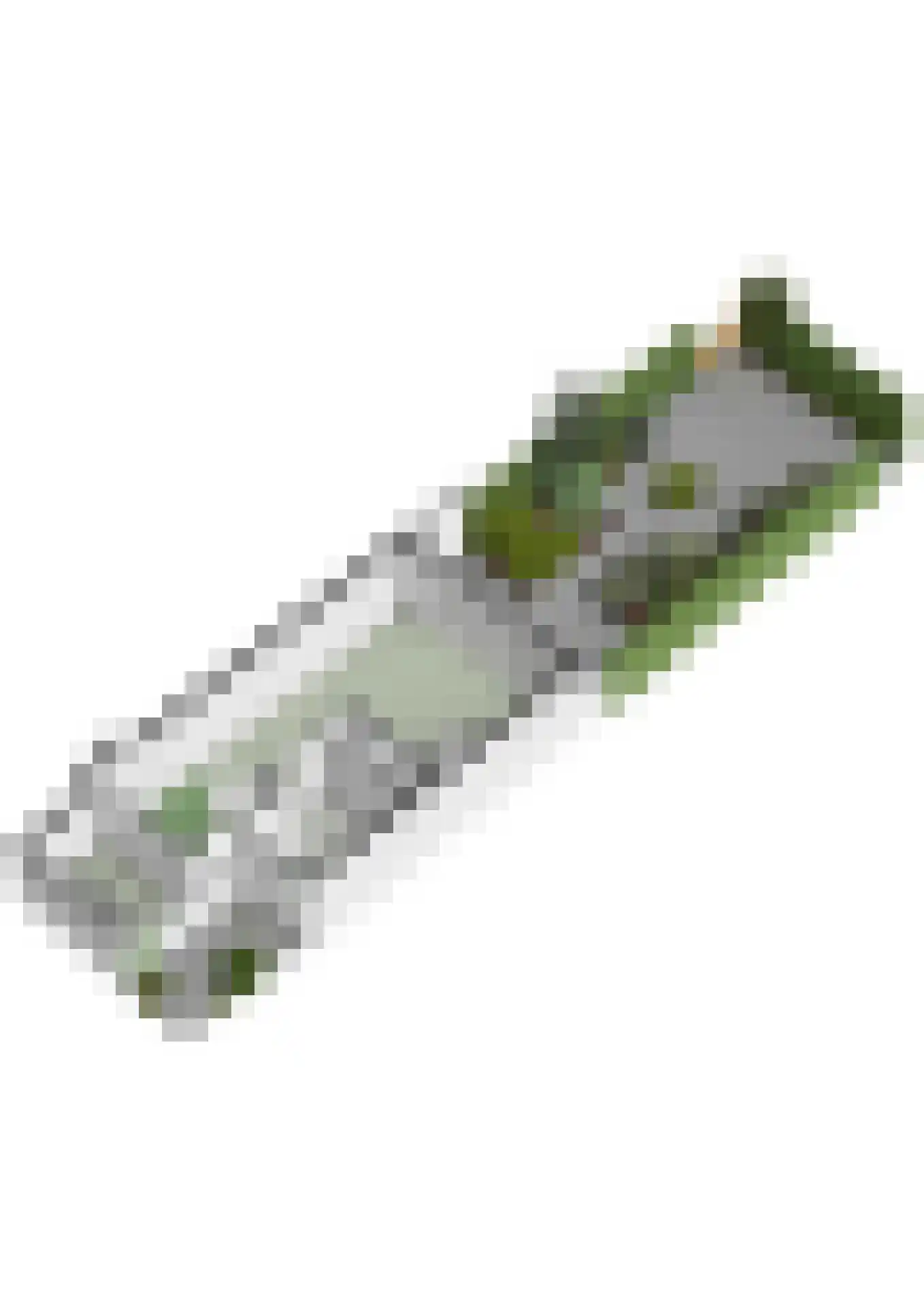 Saffier 9 Berkel en Rodenrijs thumbnail 55