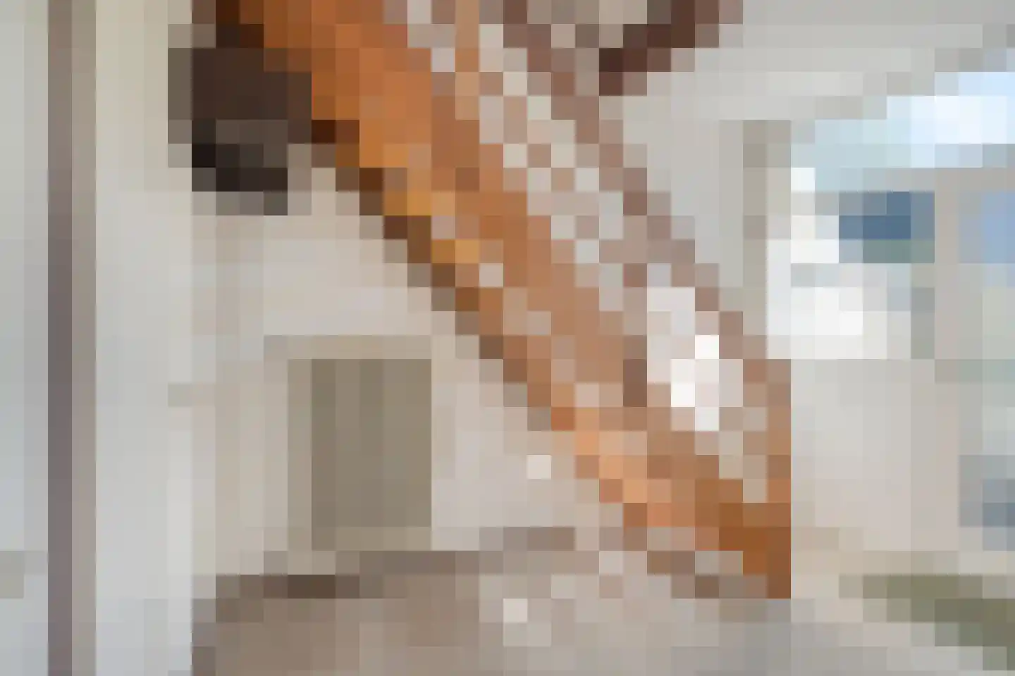 Saffier 9 Berkel en Rodenrijs thumbnail 7