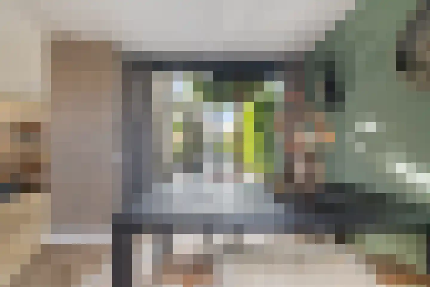 Saffierdreef 21 Emmen thumbnail 13