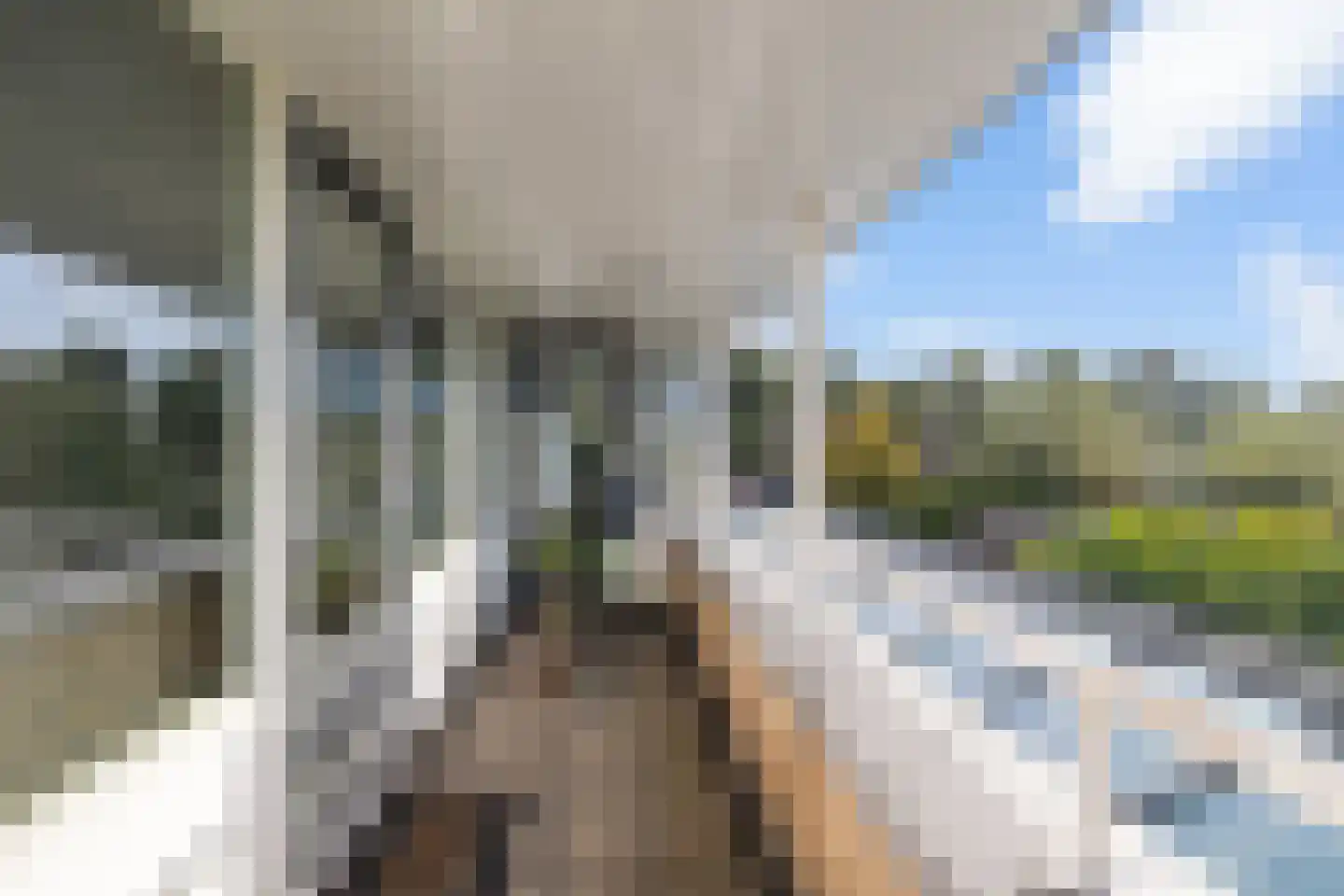 Saffierdreef 21 Emmen thumbnail 33