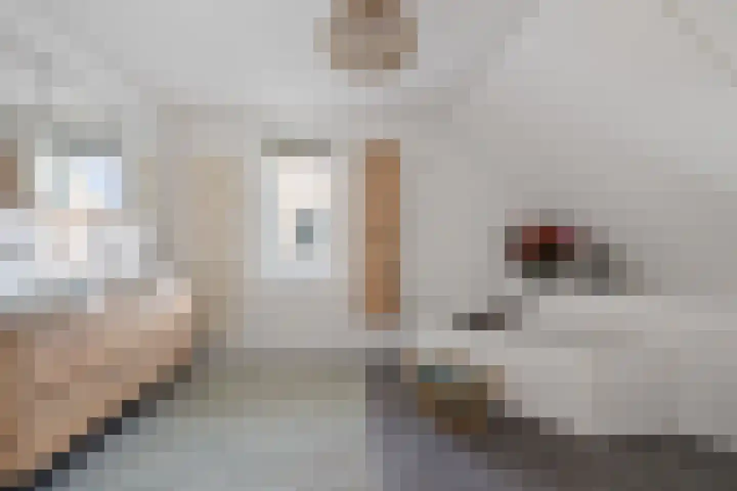 Saffierdreef 21 Emmen thumbnail 35