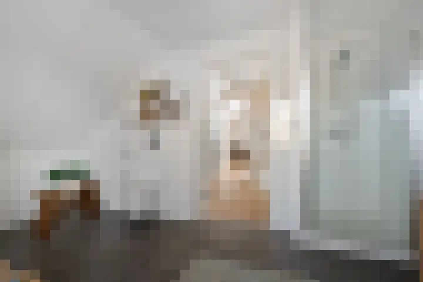 Saffierdreef 21 Emmen thumbnail 37