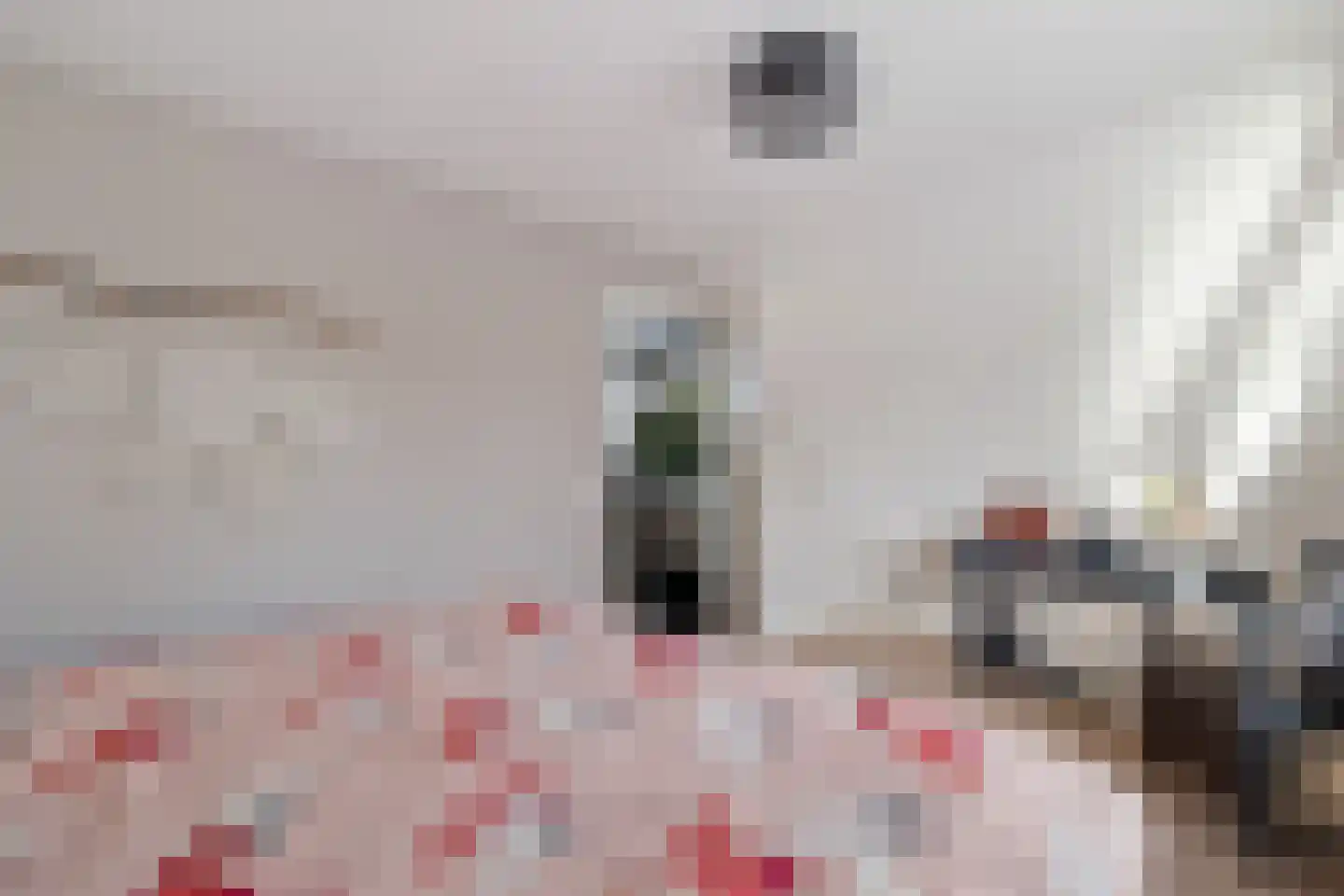 Saffierdreef 21 Emmen thumbnail 39