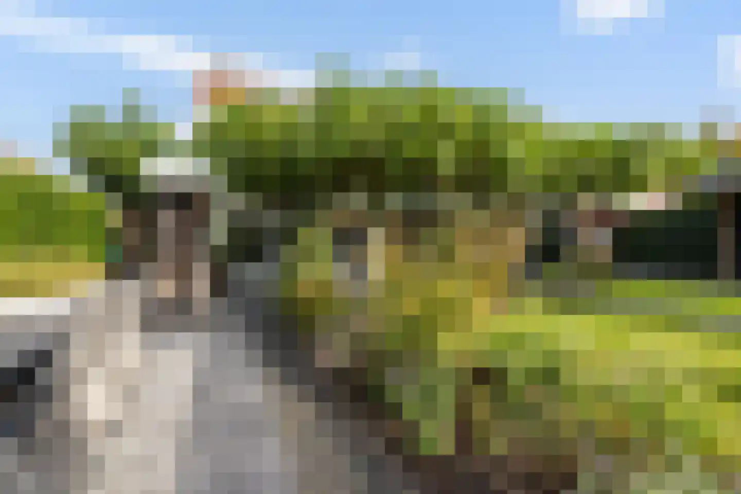 Saffierdreef 21 Emmen thumbnail 47