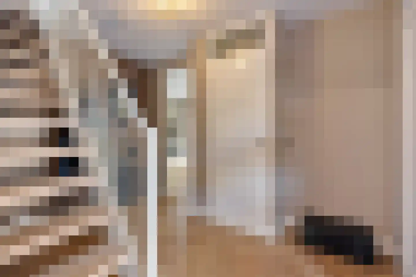 Saffierdreef 21 Emmen thumbnail 8