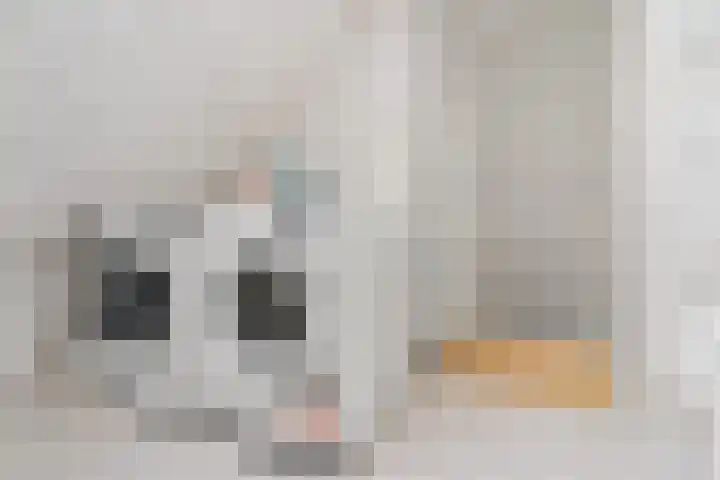 Saffierdrift 14 Nieuwegein thumbnail 21
