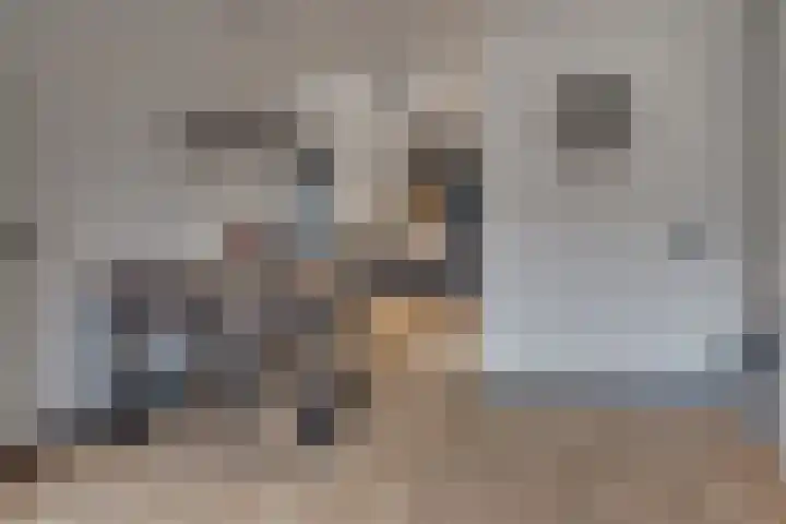 Saffierdrift 7 Nieuwegein thumbnail 8