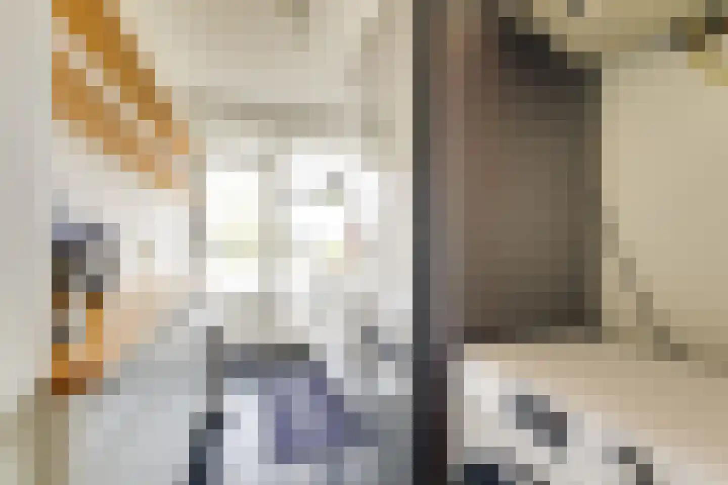 Saffierhorst 14 Den Haag thumbnail 14