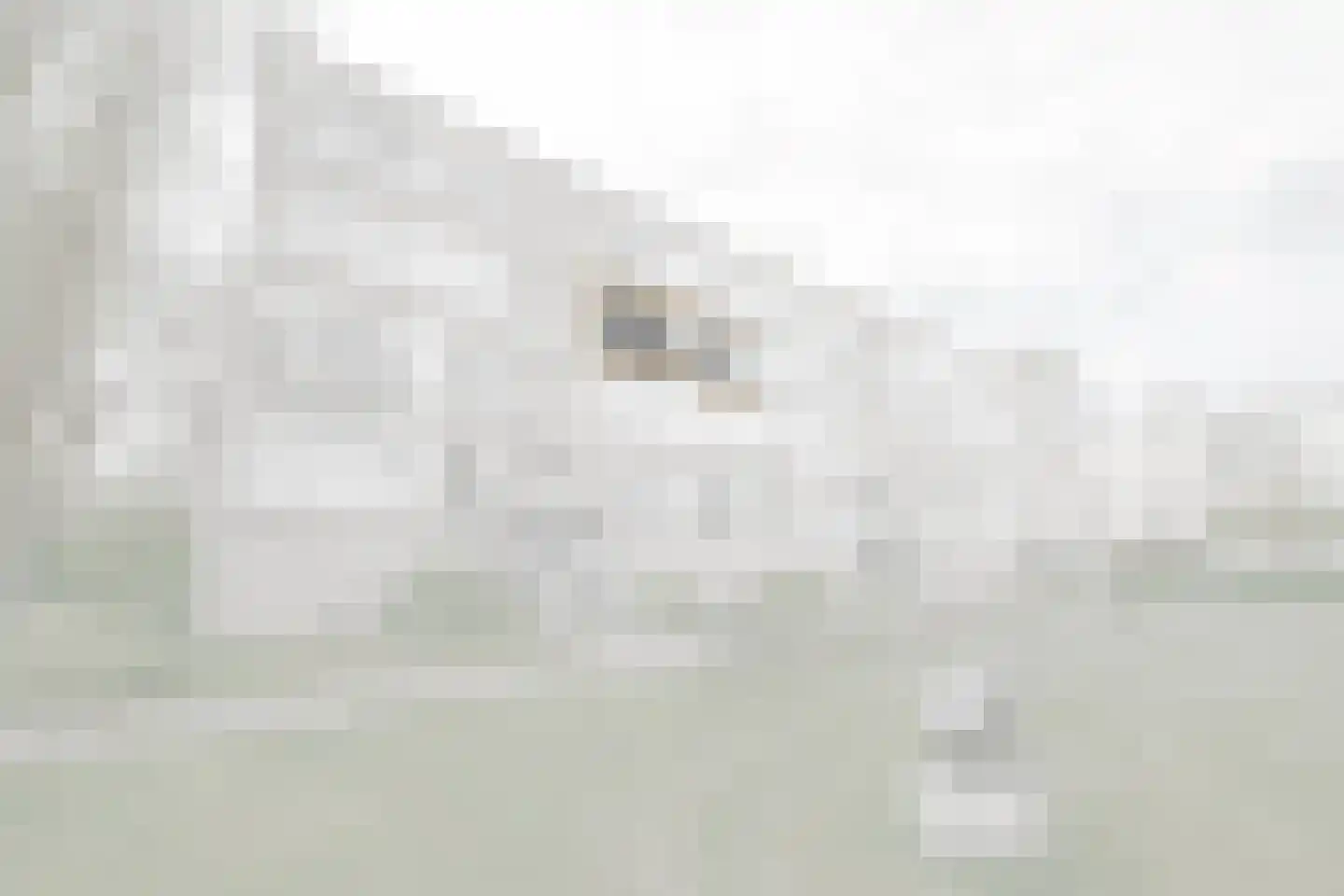 Saffierhorst 14 Den Haag thumbnail 5