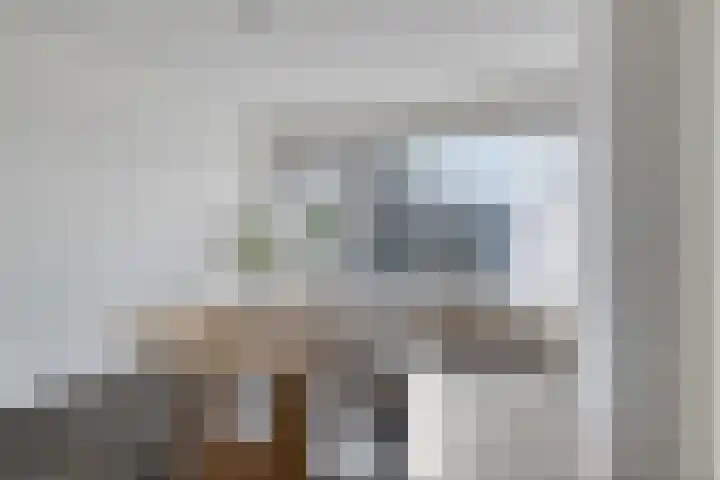 Saffierhorst 166 Den Haag thumbnail 13