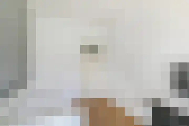 Saffierhorst 186 Den Haag thumbnail 22