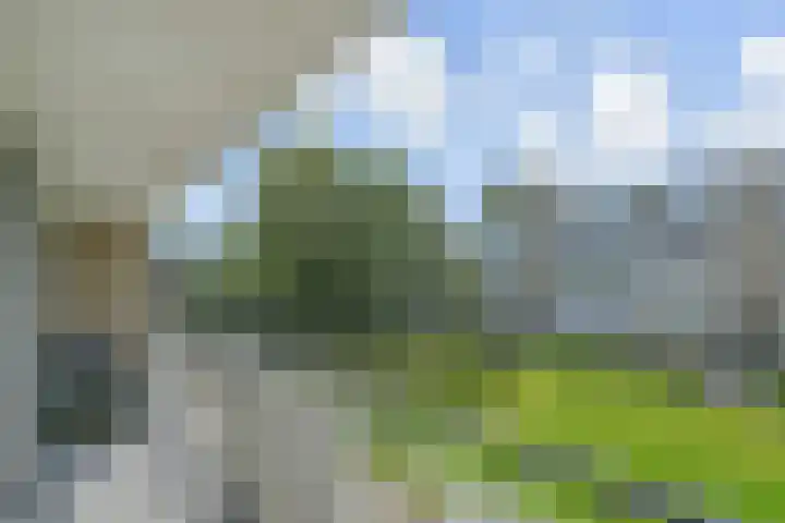 Saffierhorst 186 Den Haag thumbnail 27