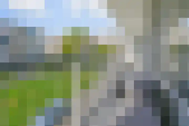 Saffierhorst 186 Den Haag thumbnail 28