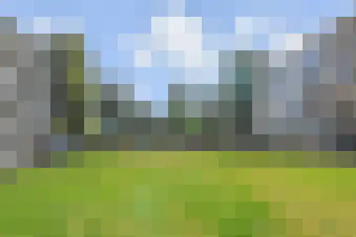 Saffierhorst 186 Den Haag thumbnail 29