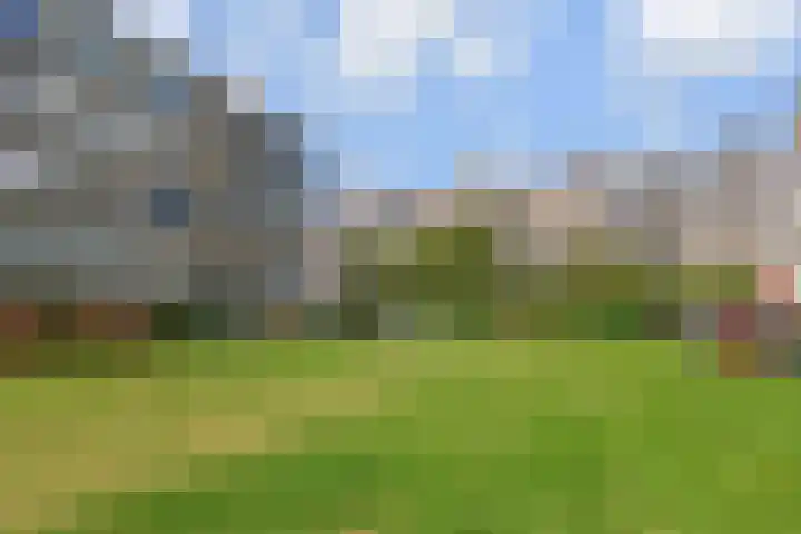 Saffierhorst 186 Den Haag thumbnail 30