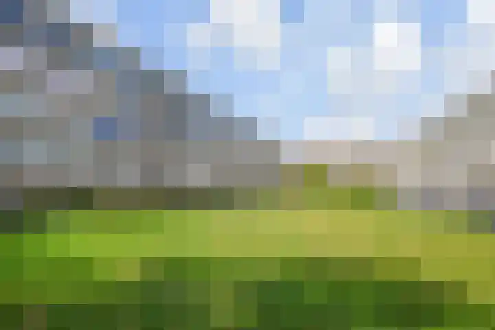 Saffierhorst 186 Den Haag thumbnail 31