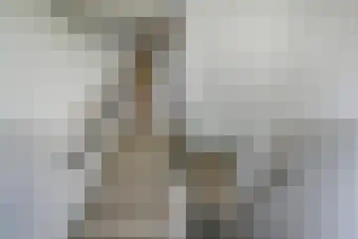 Saffierhorst 186 Den Haag thumbnail 5