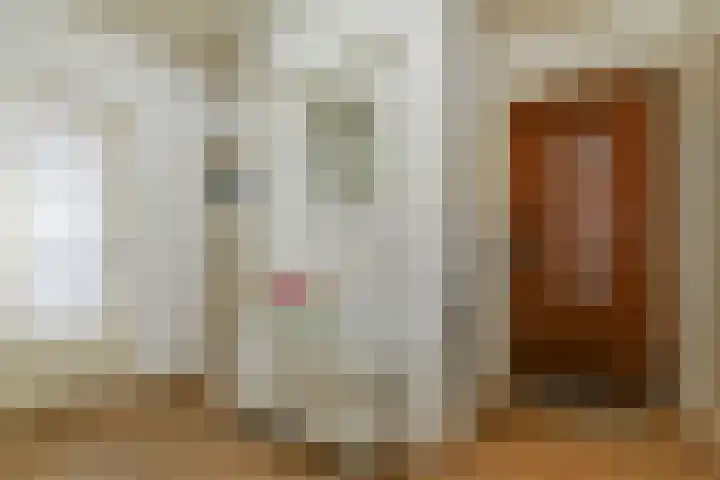 Saffierhorst 186 Den Haag thumbnail 8