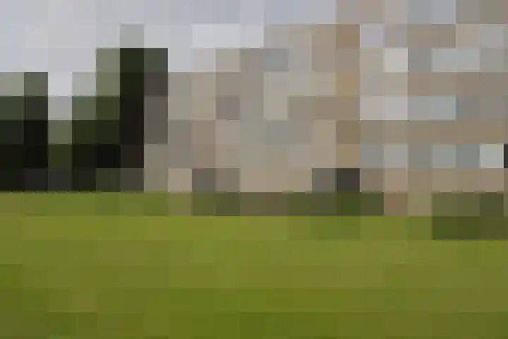 Saffierhorst 190 Den Haag thumbnail 28