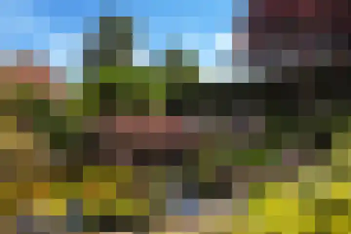 Saffierhorst 190 Den Haag thumbnail 31