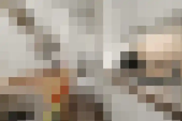 Saffierhorst 20 Den Haag thumbnail 10